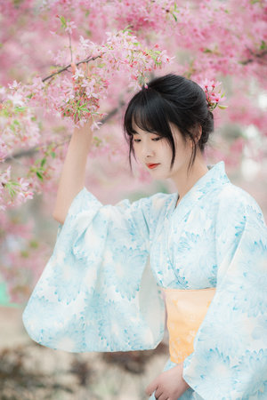 最禛心 相关